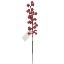 Picture of 33cm BERRY SPRAY RED