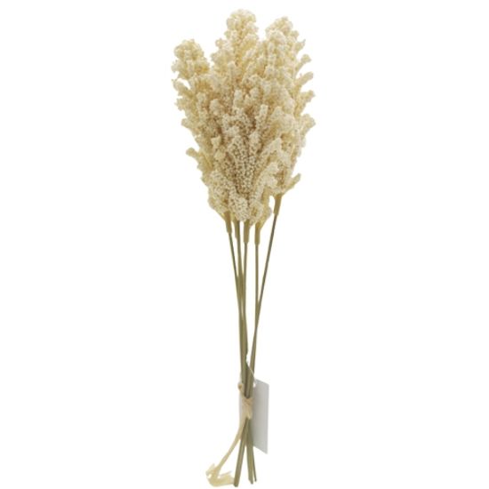 Picture of 32cm ASTILBE BUNDLE (6 STEMS) CREAM