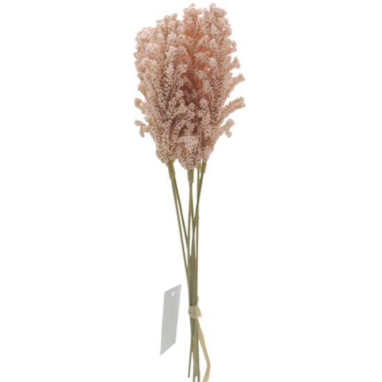 Picture of 32cm ASTILBE BUNDLE (6 STEMS) PEACH