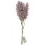 Picture of 32cm ASTILBE BUNDLE (6 STEMS) LILAC
