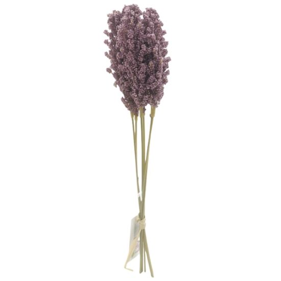 Picture of 32cm ASTILBE BUNDLE (6 STEMS) PURPLE