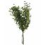 Picture of 39cm EUCALYPTUS BUNDLE GREEN