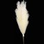 Picture of 115cm ARTIFICIAL PAMPAS GRASS (18 FORKS) CREAM X 4pcs