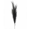 Picture of 115cm ARTIFICIAL PAMPAS GRASS (18 FORKS) DARK GREY X 4pcs