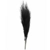 Picture of 115cm ARTIFICIAL PAMPAS GRASS (18 FORKS) BLACK X 4pcs