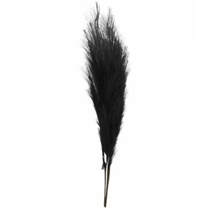 Picture of 115cm ARTIFICIAL PAMPAS GRASS (18 FORKS) BLACK X 4pcs