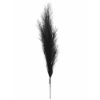 Picture of 115cm ARTIFICIAL PAMPAS GRASS (18 FORKS) BLACK X 4pcs