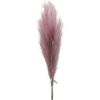 Picture of 115cm ARTIFICIAL PAMPAS GRASS (18 FORKS) LAVENDER X 4pcs