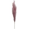 Picture of 115cm ARTIFICIAL PAMPAS GRASS (18 FORKS) LAVENDER X 4pcs