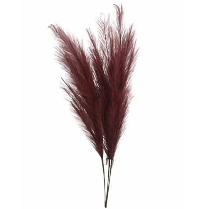 Picture of 115cm ARTIFICIAL PAMPAS GRASS (18 FORKS) BURGUNDY X 4pcs