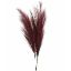 Picture of 115cm ARTIFICIAL PAMPAS GRASS (18 FORKS) BURGUNDY X 4pcs