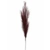 Picture of 115cm ARTIFICIAL PAMPAS GRASS (18 FORKS) BURGUNDY X 4pcs