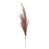 Picture of 115cm ARTIFICIAL PAMPAS GRASS (18 FORKS) MAUVE X 4pcs