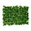 Picture of IVY WALL PANEL 60cm X 40cm VARIEGATED