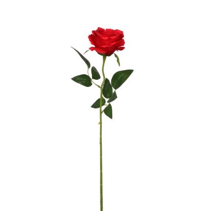 Picture of 52cm SINGLE OPEN ROSE RED