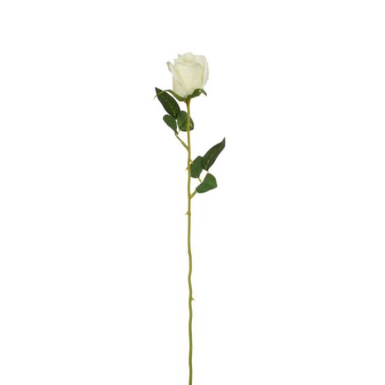 Picture of 55cm SINGLE ROSEBUD IVORY