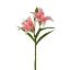 Picture of 38cm LILY SPRAY PINK