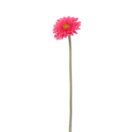 Picture of 36cm SPIKY GERBERA FUCHSIA