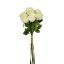 Picture of 54cm ROSEBUD BUNDLE (BUNDLE OF 7) IVORY
