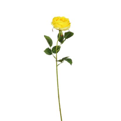 Picture of 61cm SINGLE CABBAGE OPEN ROSE YELLOW