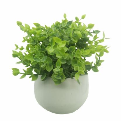 Picture of PLASTIC EUCALYPTUS BUSH IN POT