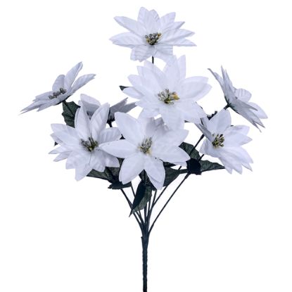 Picture of POINSETTIA BUSH (9 HEADS) WHITE