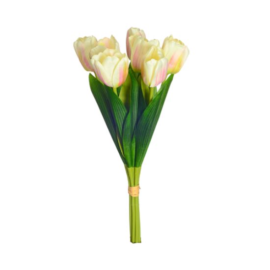 Picture of TULIP BUNDLE (7 STEMS) CREAM/PINK