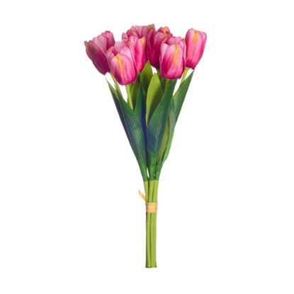 Picture of TULIP BUNDLE (7 STEMS) FUCHSIA