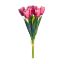 Picture of TULIP BUNDLE (7 STEMS) FUCHSIA