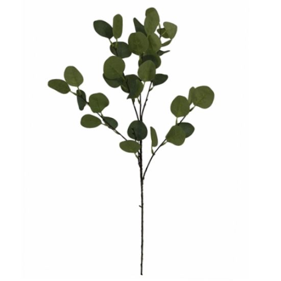 Picture of 70cm EUCALYPTUS SPRAY GREEN