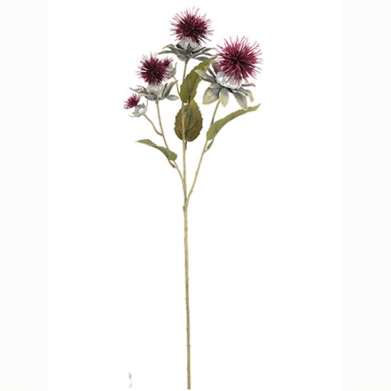 Picture of 57cm THISTLE SPRAY DRY COLOUR BURGUNDY