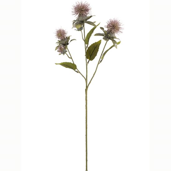 Picture of 57cm THISTLE SPRAY DRY COLOUR MAUVE