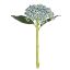 Picture of 32cm PLASTIC HYDRANGEA BUD BLUE