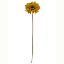 Picture of 53cm SINGLE GERBERA DRY COLOUR MUSTARD