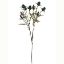 Picture of 68cm ERYNGIUM (SEA HOLLY) SPRAY DRY COLOUR TEAL