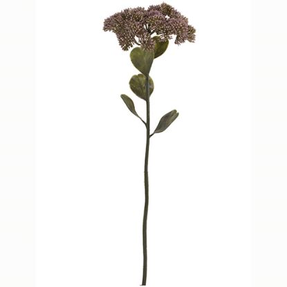 Picture of 46cm SEDUM (STONECROP) SPRAY DRY COLOUR MAUVE