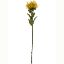 Picture of 73cm PROTEA DRY COLOUR MUSTARD
