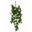 Picture of 73cm TRAILING IVY BUSH GREEN