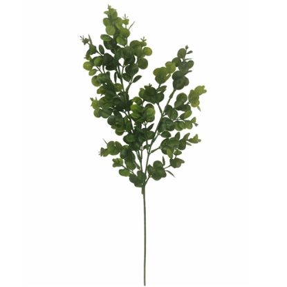 Picture of 72cm EUCALYPTUS SPRAY GREEN