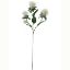 Picture of 57cm THISTLE SPRAY IVORY