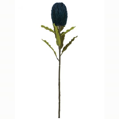 Picture of 65cm LARGE BANKSIA DRY COLOUR TEAL