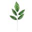 Picture of 55cm LEAF SPRAY (5 LEAVES) X 6pcs VARIEGATED