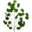 Picture of 66cm CHINESE MONEY LEAF SPRAY (36 LEAVES) GREEN X 6pcs