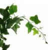 Picture of 225cm IVY GARLAND VARIEGATED