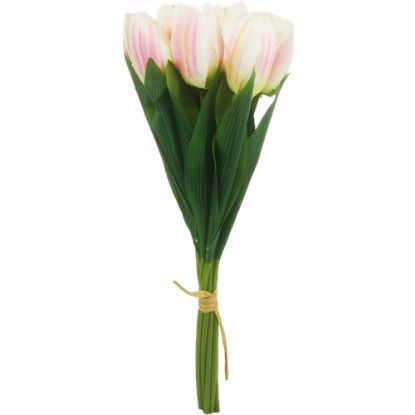 Picture of 40cm TULIP BUNDLE (9 STEMS) CREAM/PINK