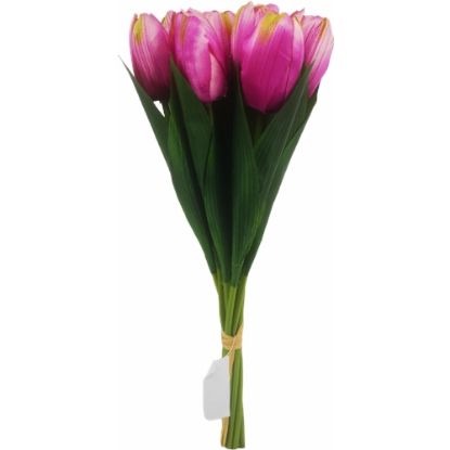 Picture of 40cm TULIP BUNDLE (9 STEMS) FUCHSIA