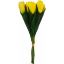 Picture of 40cm TULIP BUNDLE (9 STEMS) YELLOW