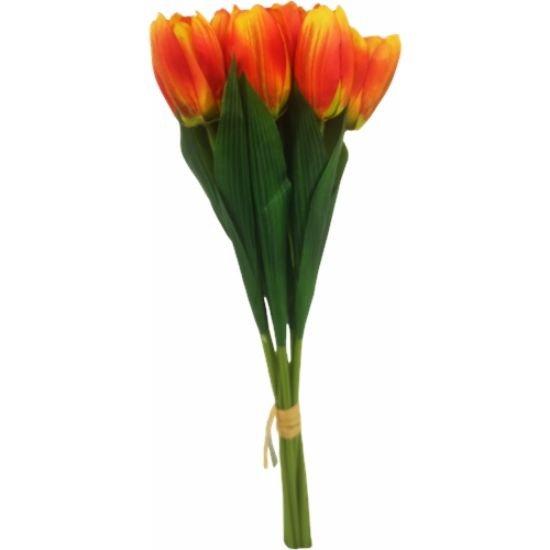 Picture of 40cm TULIP BUNDLE (9 STEMS) ORANGE