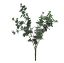 Picture of 45cm BUTTON LEAF BUSH GREY/GREEN