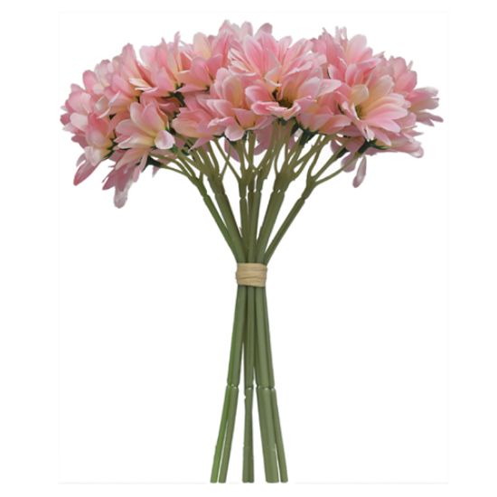 Picture of 30cm MINI GERBERA BUNDLE PINK/CREAM